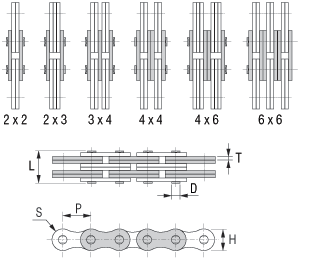 American-Leaf-Chain